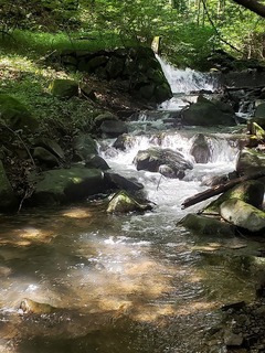20200801_122218.jpg
