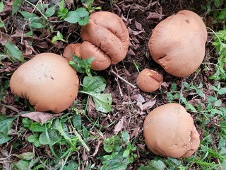 20201003_100750.jpg