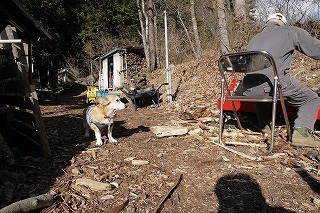 P1020341.jpg