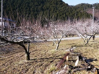 P1090541.jpg