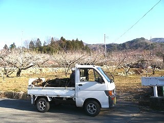 P1090543.jpg