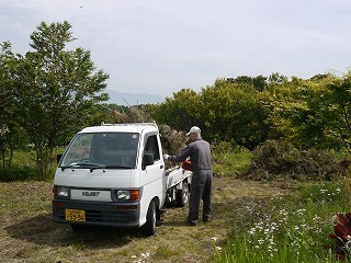 P1090730.jpg