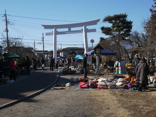 P1100460.jpg